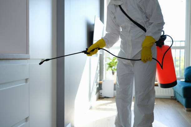 Mold Odor Removal Services in Cactus, TX