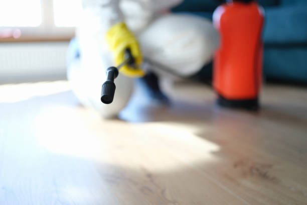 Best Dehumidification Services  in Cactus, TX
